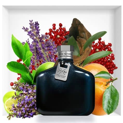 JOHN VARVATOS NICK JONAS FOR MEN EDT 125ML - Image 2