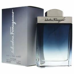 SALVATORE FERRAGAMO SUBTIL POUR HOMME EDT (M) 100ML