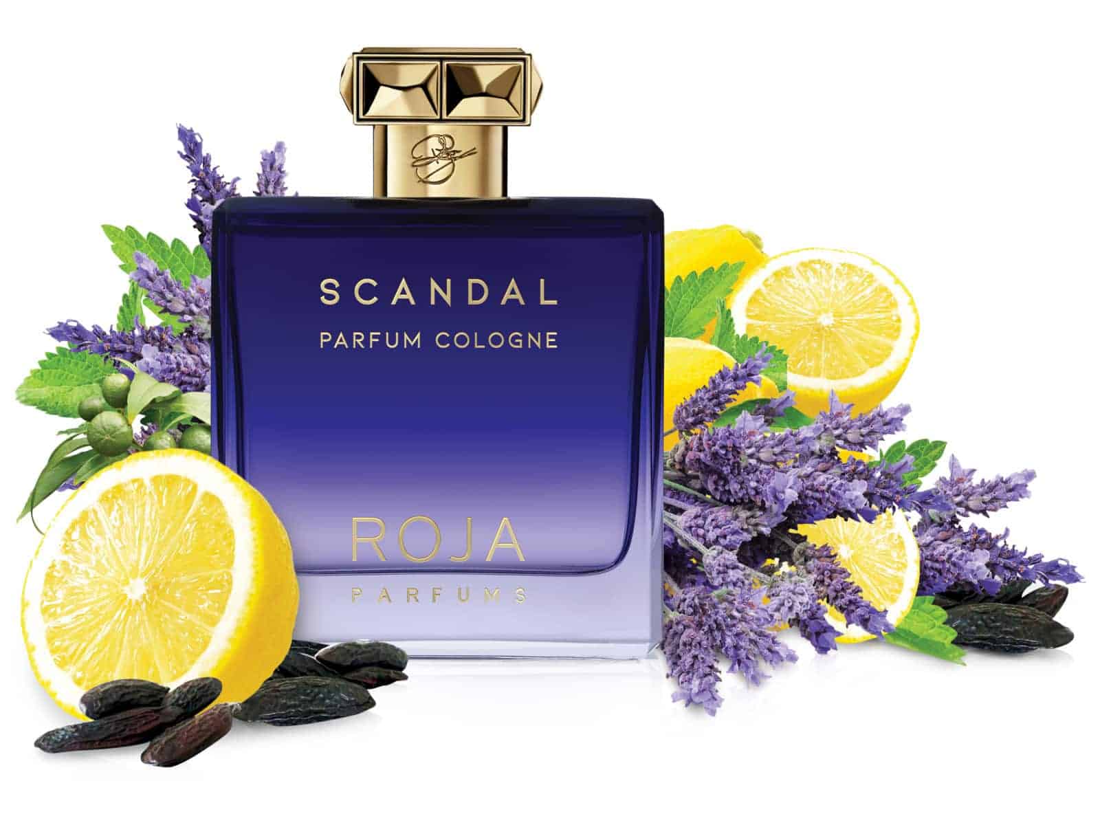 ROJA PARFUME COLOGNE SCANDAL POUR HOMME (M) 100ML - Image 2