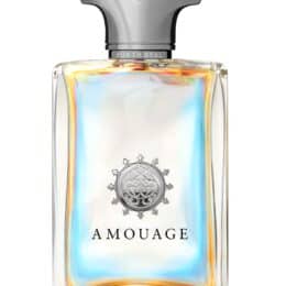 AMOUAGE PORTRAYAL POUR HOMME EDP (M) 100ML