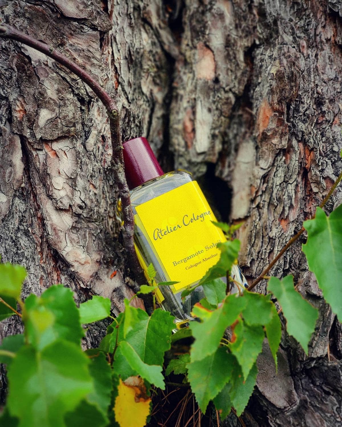 la4mmwo7dbrmyv1p min