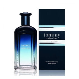 tommy hilfiger tommy endless blue edt (m) 100ml
