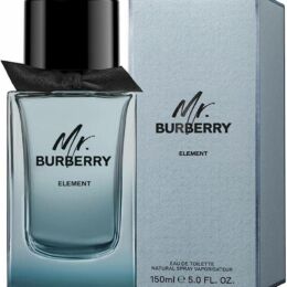 burberry mr. burberry element edt (m) 150ml