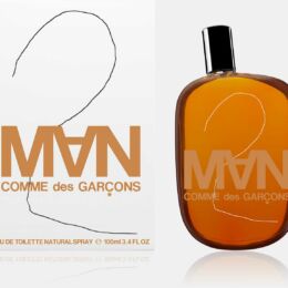 comme des garcons 2 edt (m) 100ml