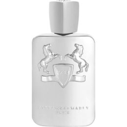 PARFUMS DE MARLY PEGASUS EDP (M) 125ML TESTER