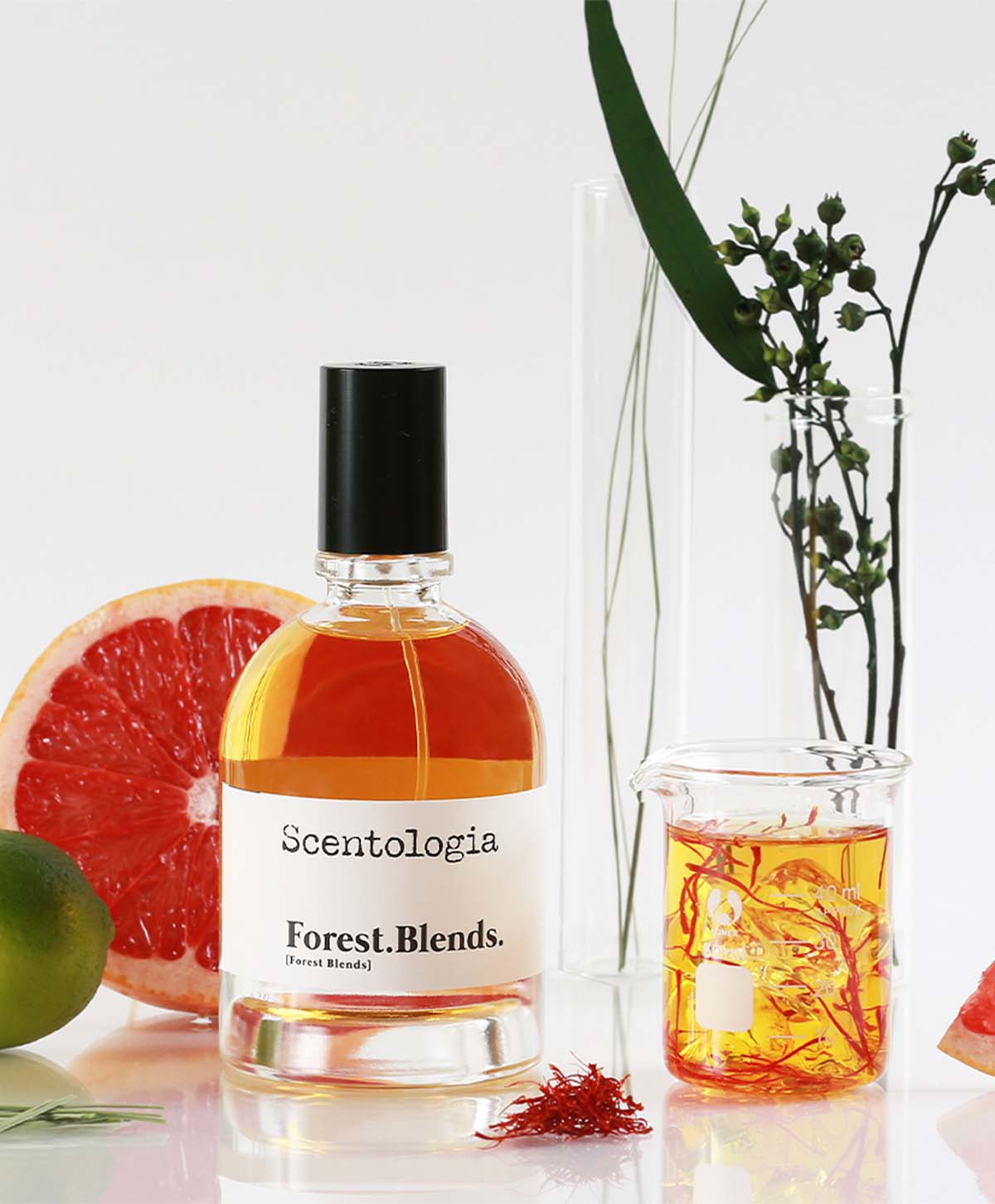 SCENTOLOGIA FOREST.BLENDS.(U) EDP 100ML - Image 2