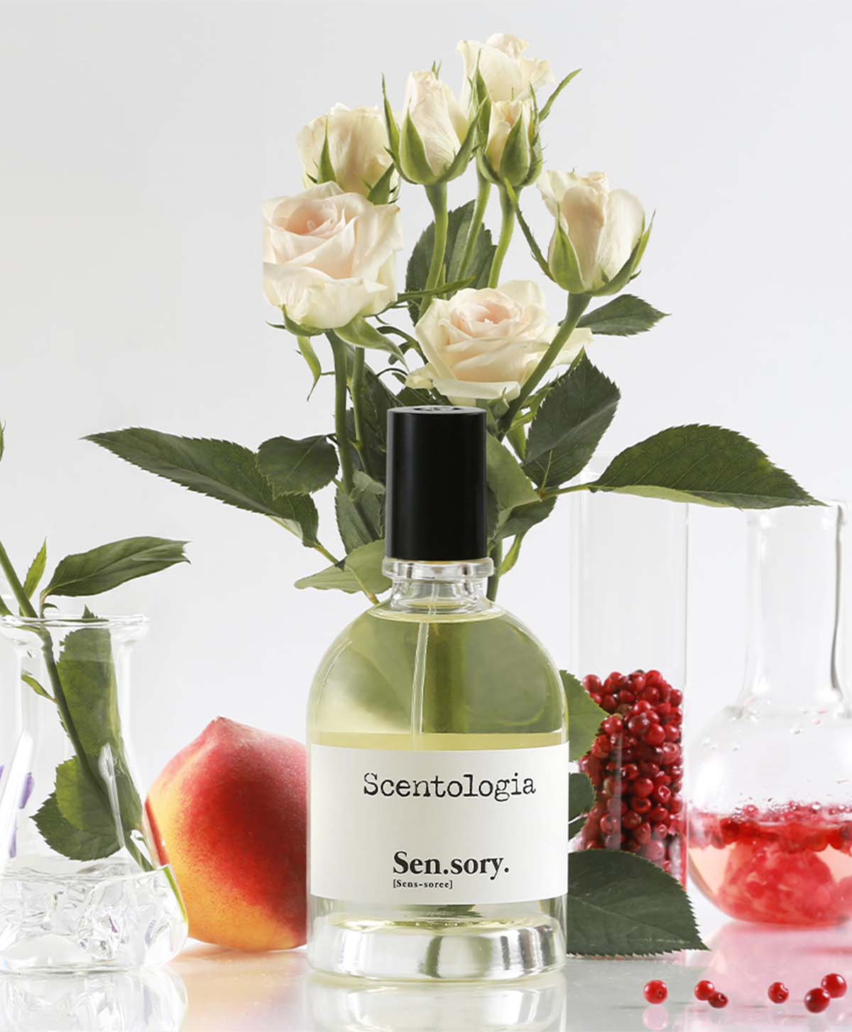 SCENTOLOGIA SENS.ORY. (U) EDP 100ML - Image 2