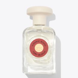 TORY BURCH COSMIC WOOD EDP (W) 100ML TESTER
