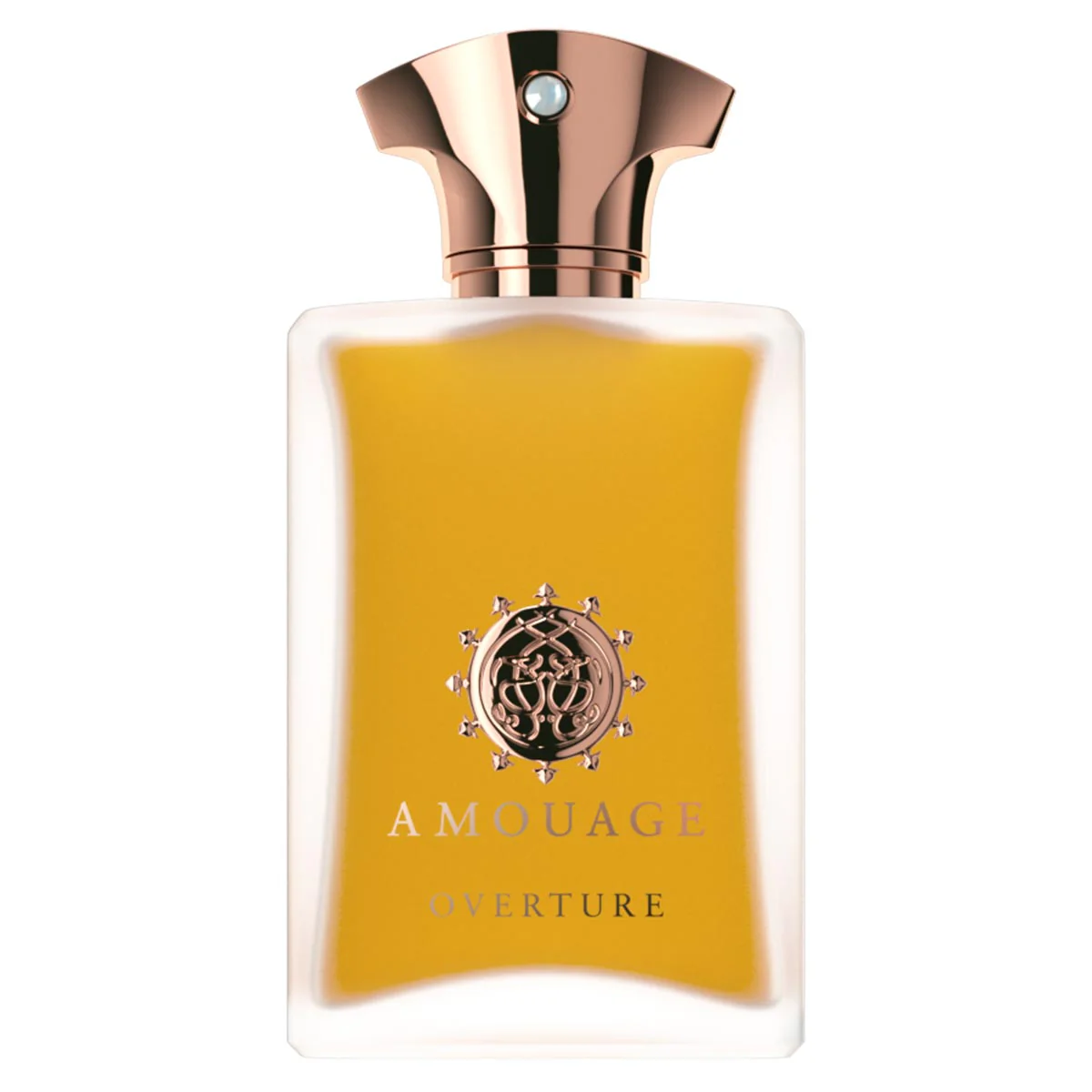AMOUAGE OVERTURE (M) EDP 100ML - Image 2