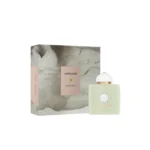 AMOUAGE EXISTENCE EDP (U) 100ML