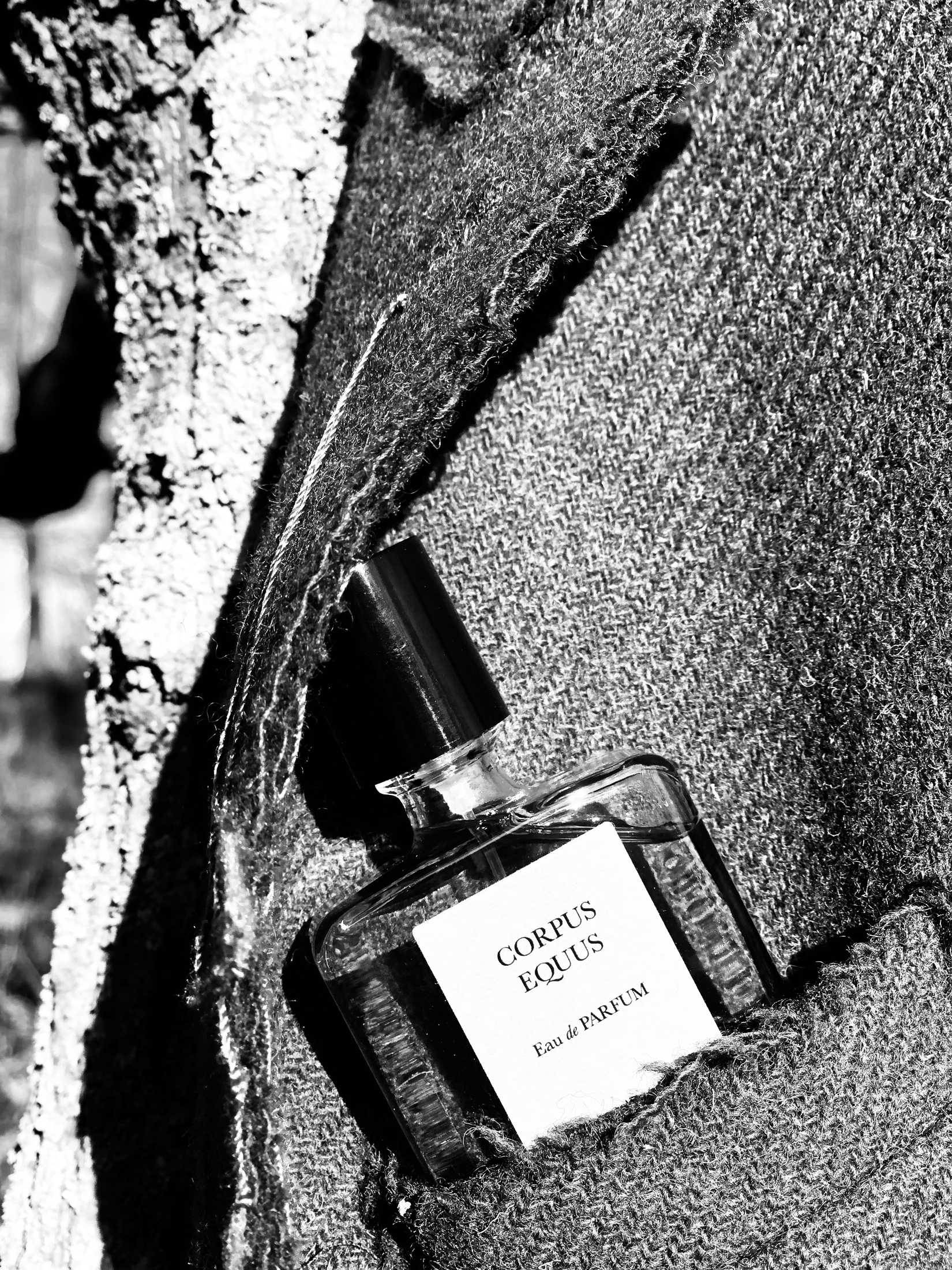 NAOMI GOODSIR CORPUS EQUUS (U) 50ML - Image 2