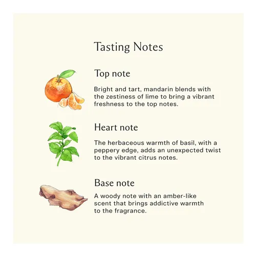 JO MALONE LIME BASIL (W) TESTER 100ML TESTER - Image 2