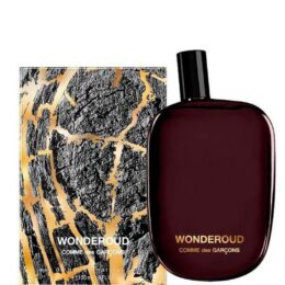 COMME DES GARCONS WONDEROUD EDP (U) 100ML