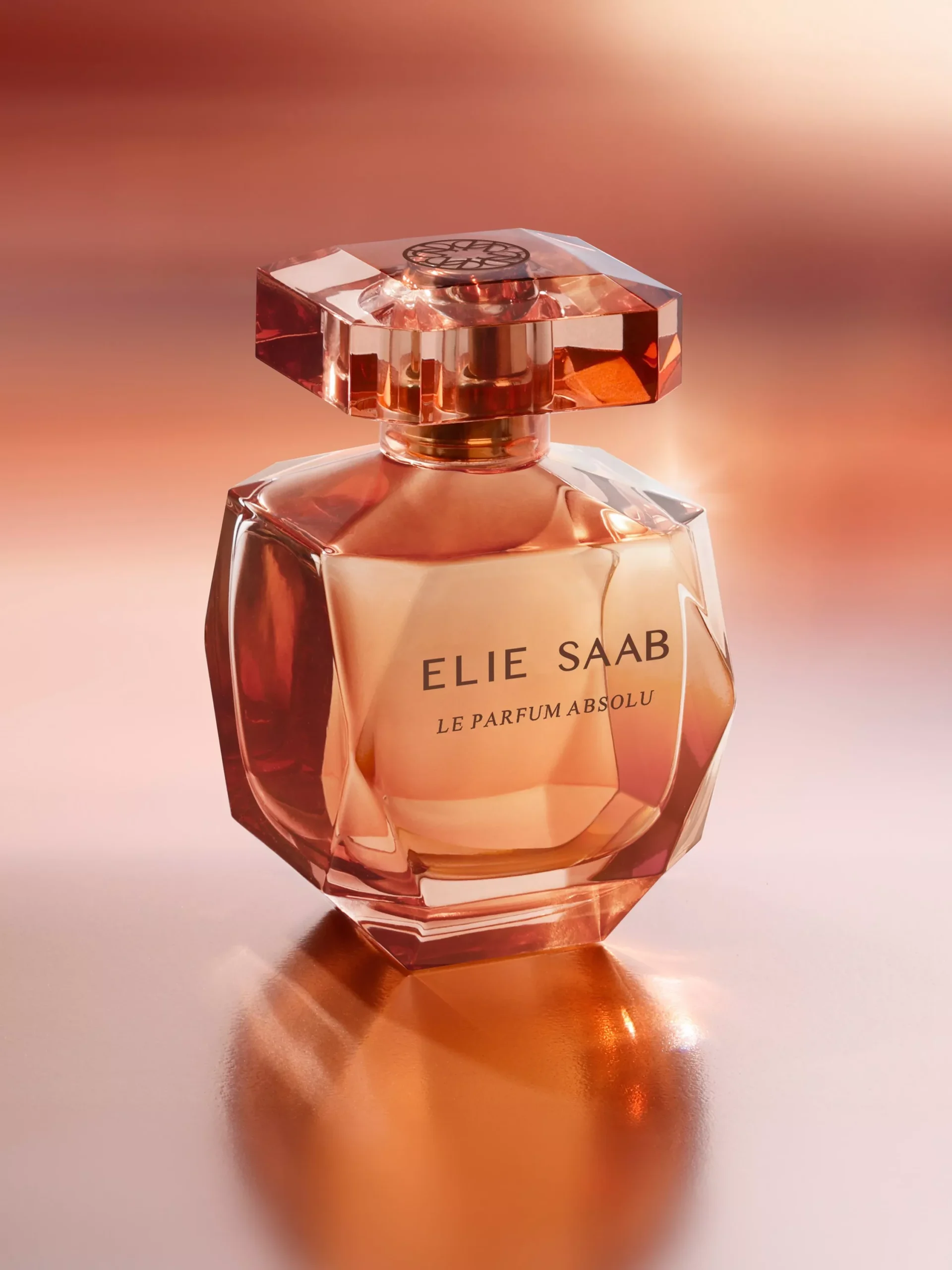 ELIE SAAB LE PARFUM ABSOLU EDP (W) 90ML 2025 - Image 2