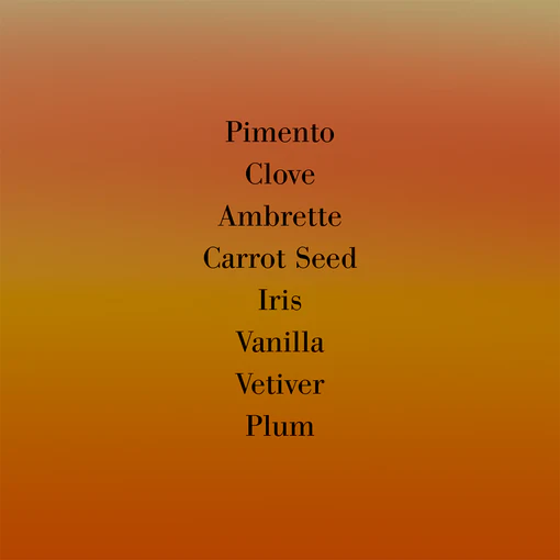 FREDERIC HEAVEN CAN WAIT EDP (U) 100ML - Image 3